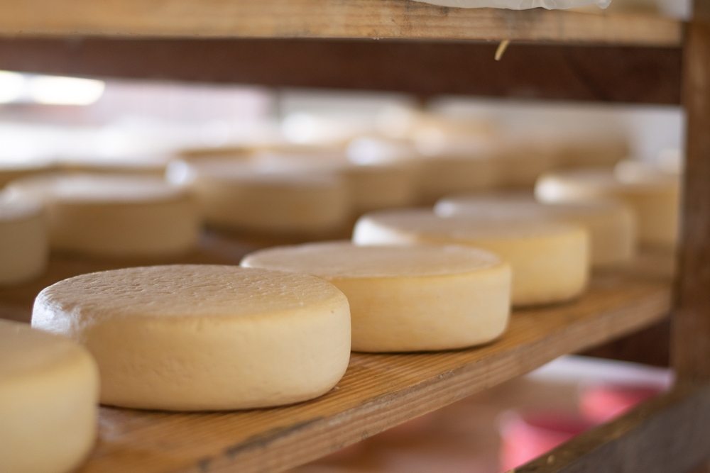 Canastra,Cheese,In,Nature,Forme